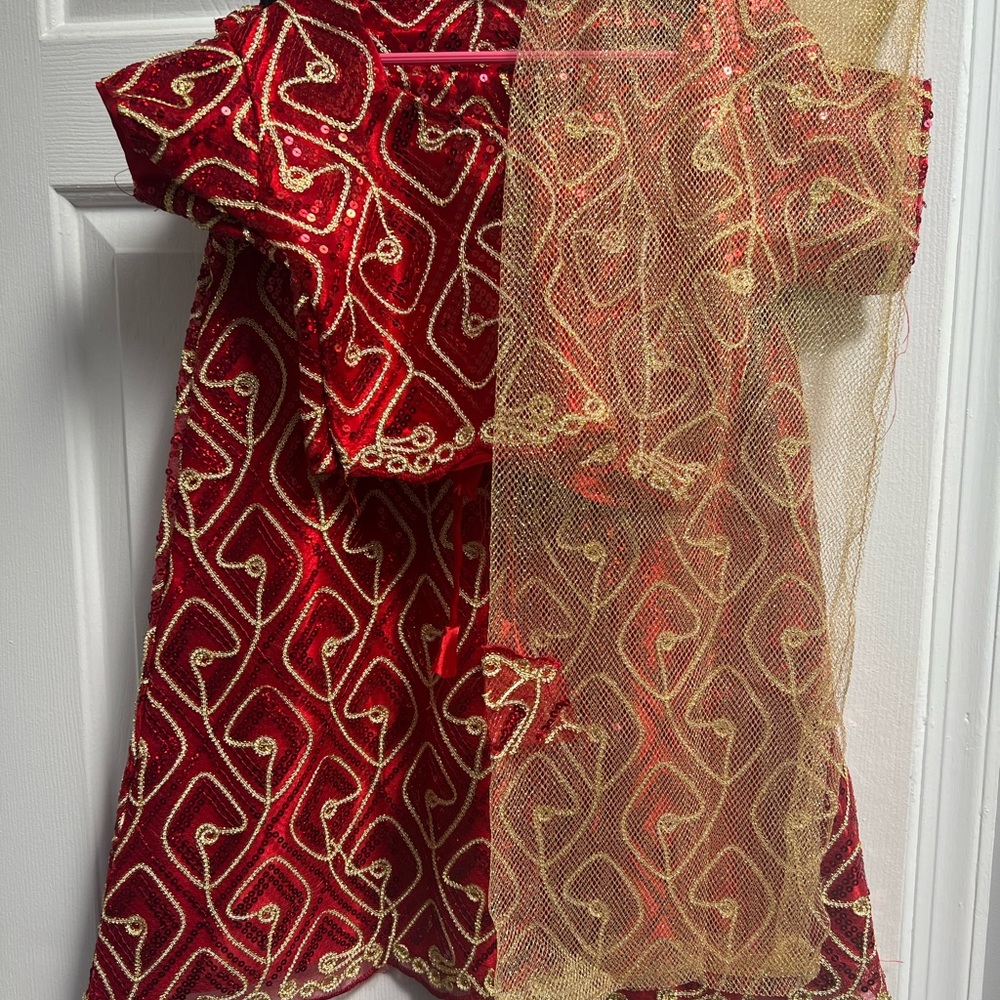 NWT Girls Lehenga/Chaniya Choli skirt, & blouse sz 24